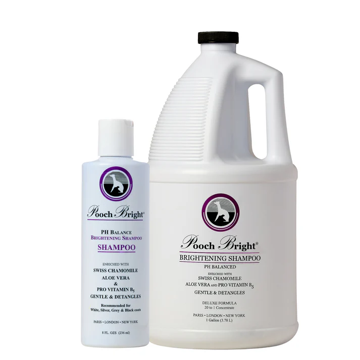 Les Pooch Bright Shampoo (Gallon)