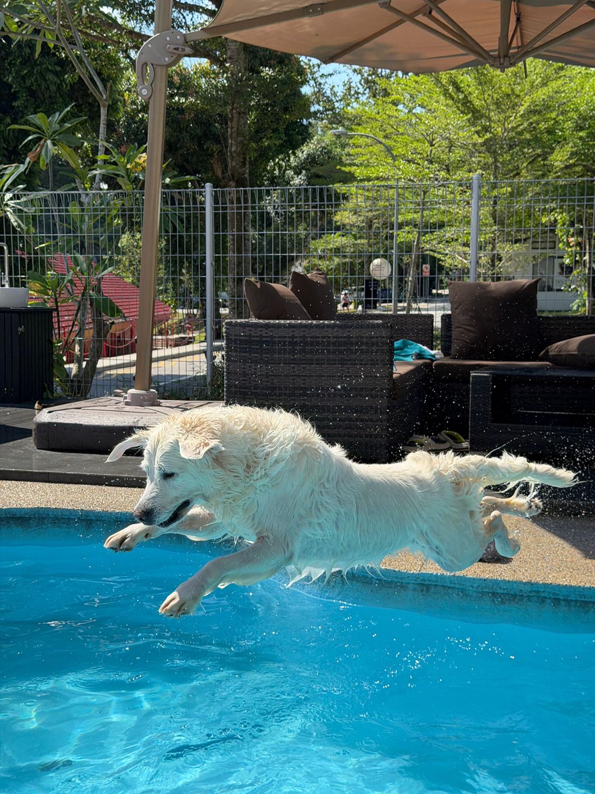 Private Pool Package (10 sessions)