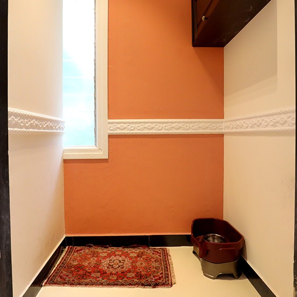 Junior Executive Suite