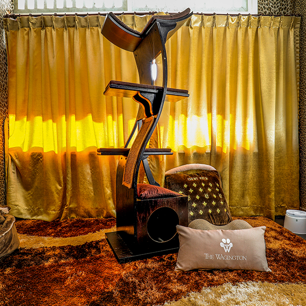 Royal Feline Suite