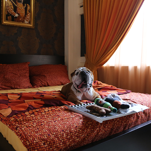 Royal Suite 