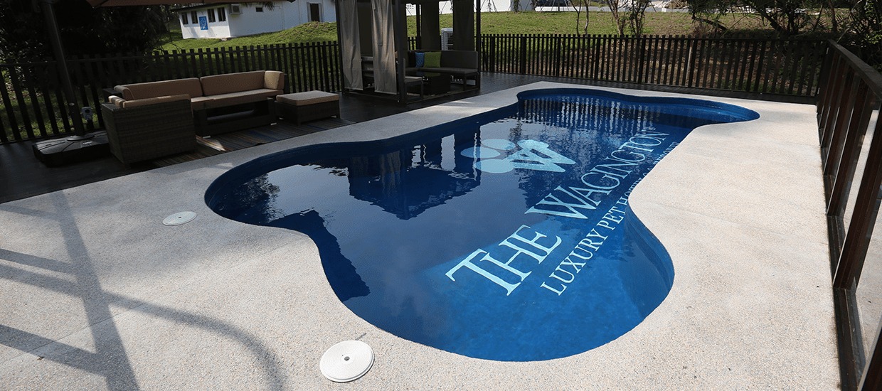 Public Pool (10 Sessions)