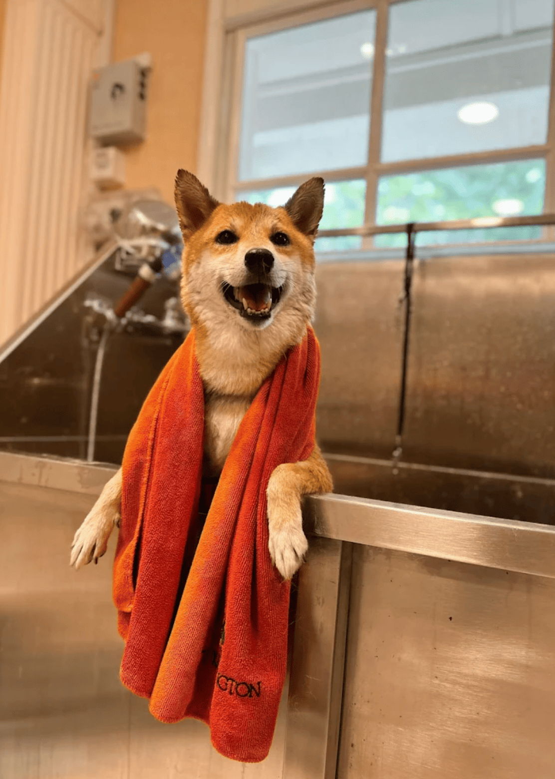 Bath & Blow Dry