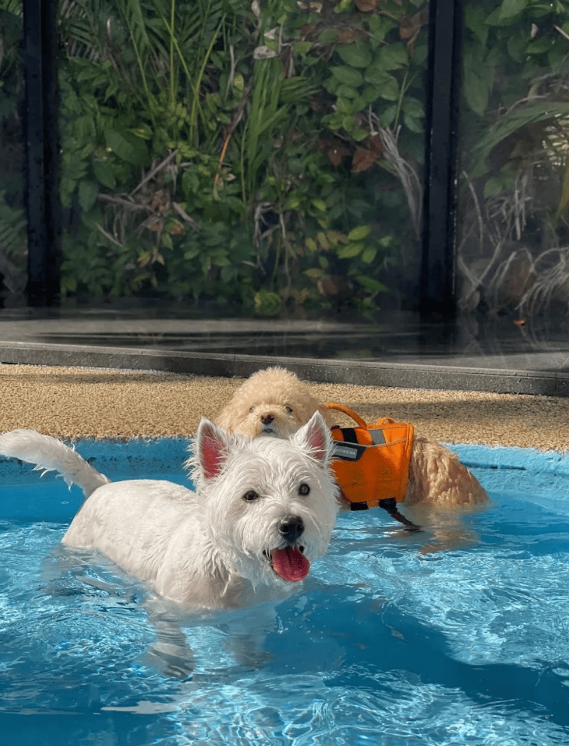 Private Pool